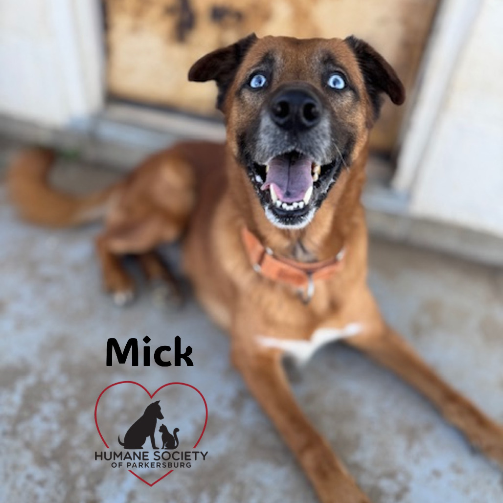 Mick