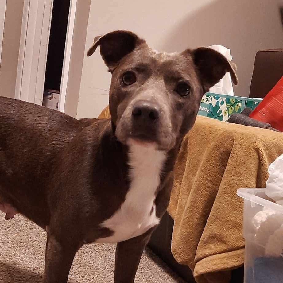 Skye