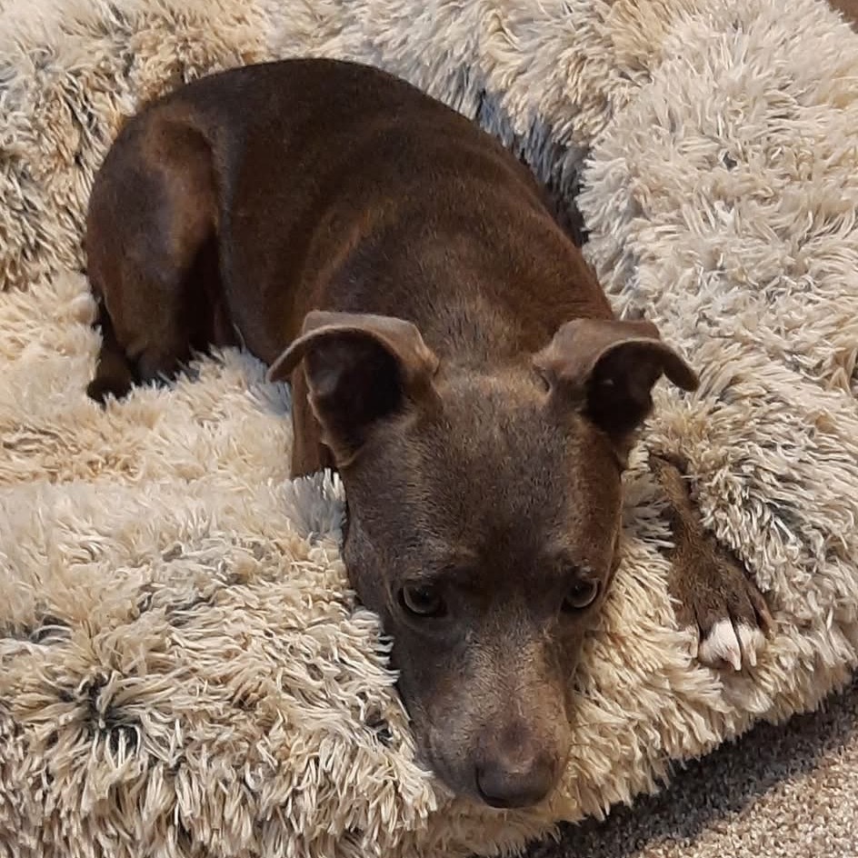 Skye