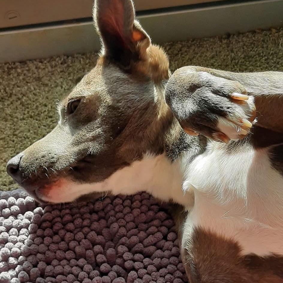 Skye