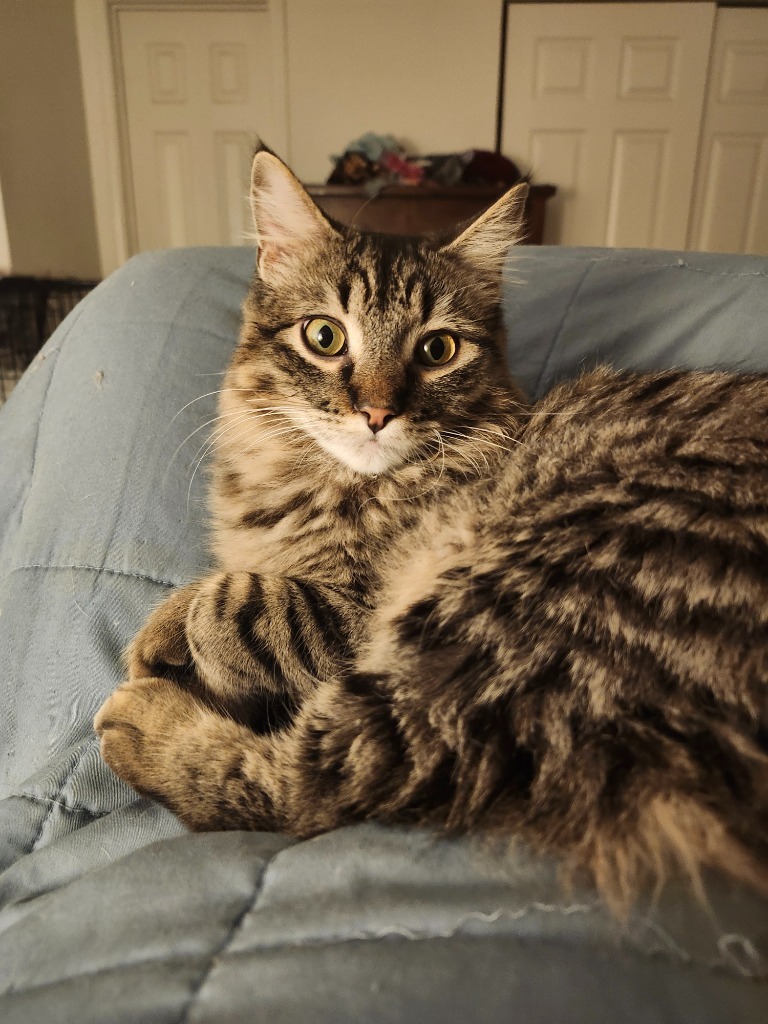 Lady Zoey Jane