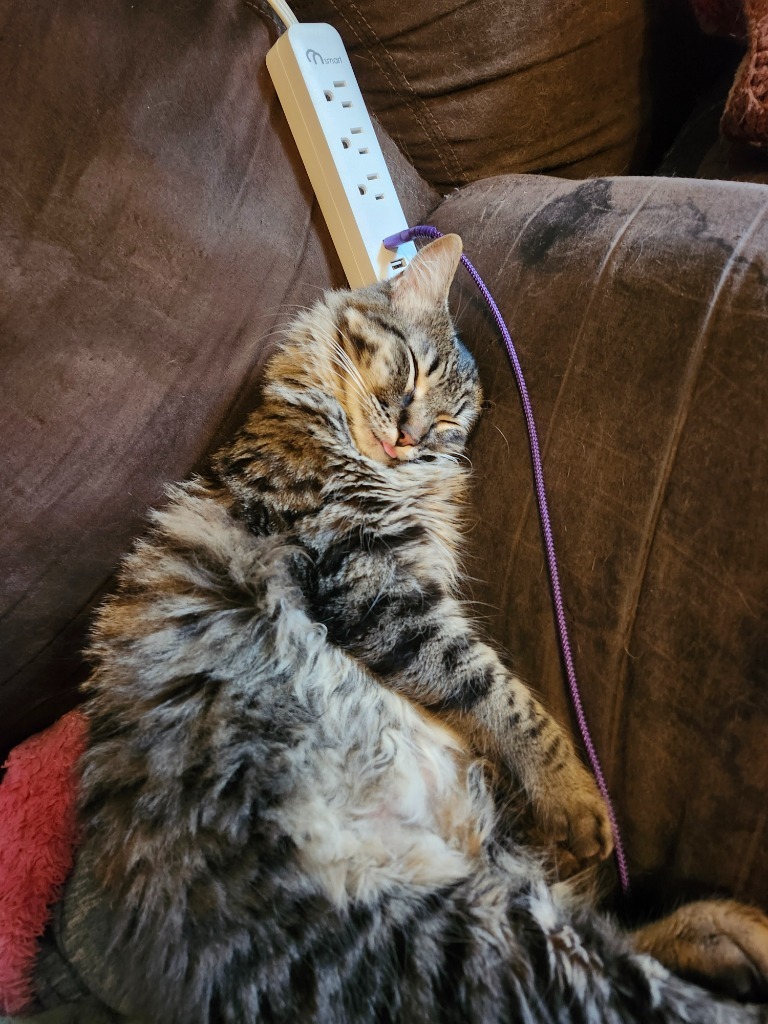 Lady Zoey Jane