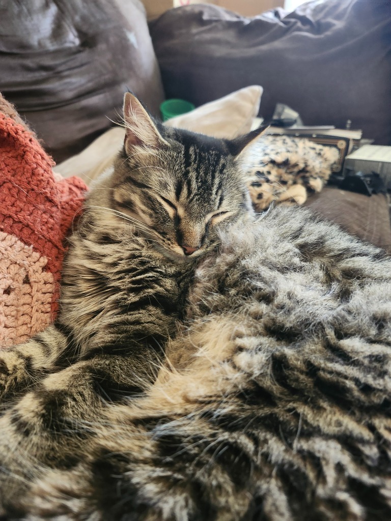 Lady Zoey Jane