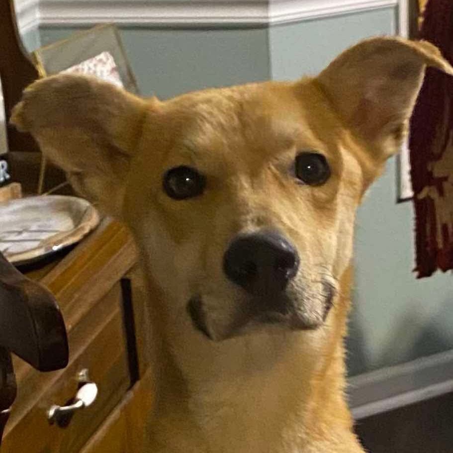 William (formerly Aspen)