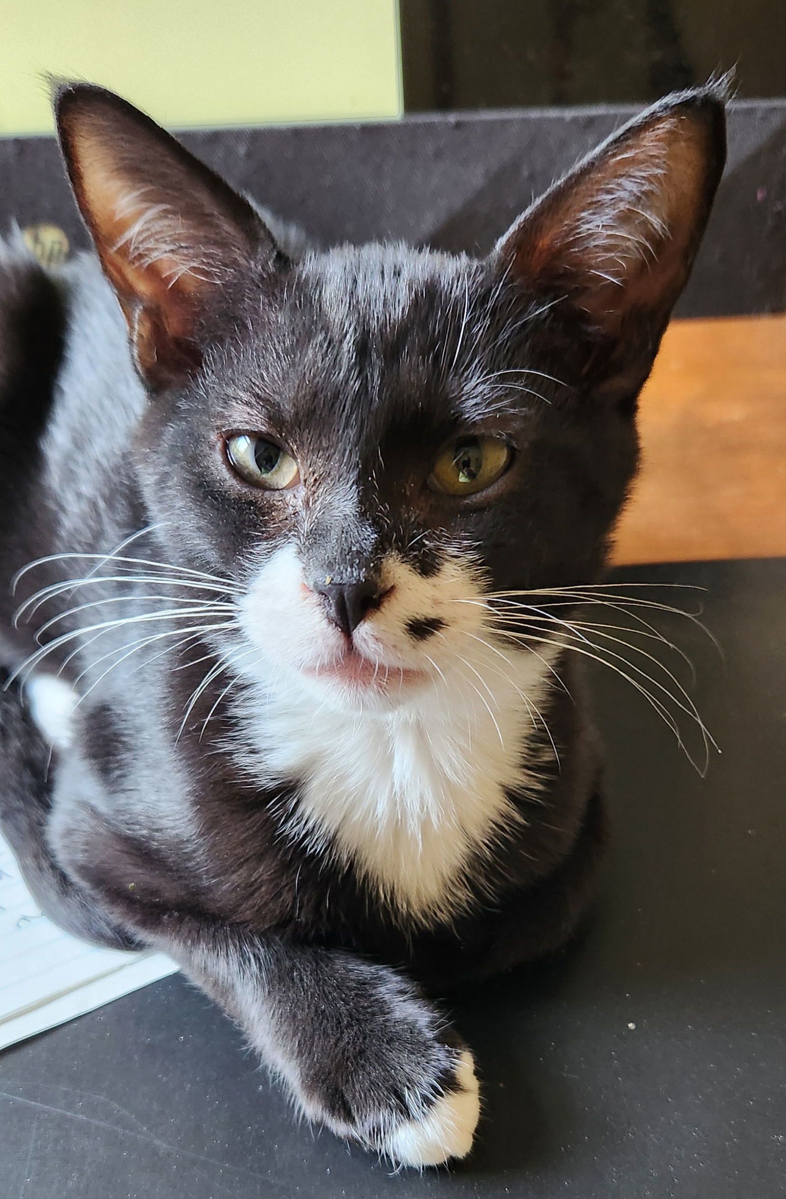 Roscoe