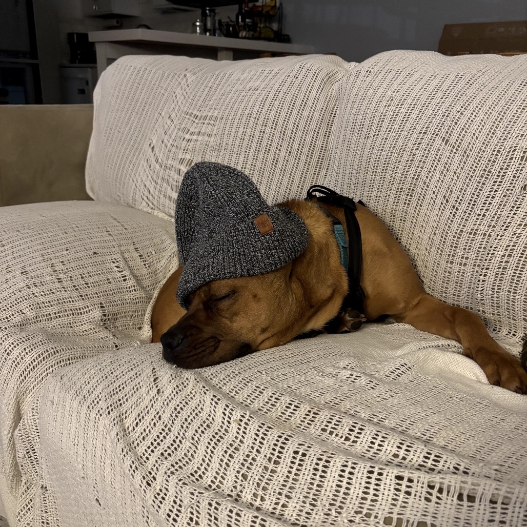 Finn