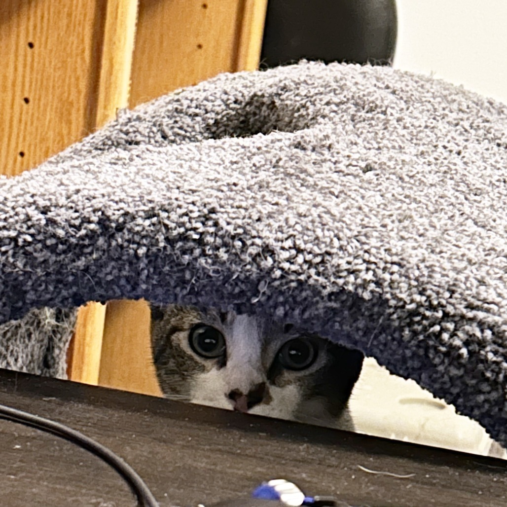 KitKat