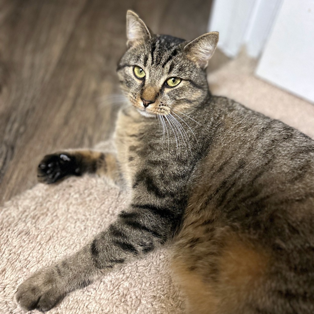 Felix