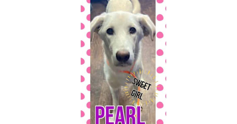 Princess Pearl