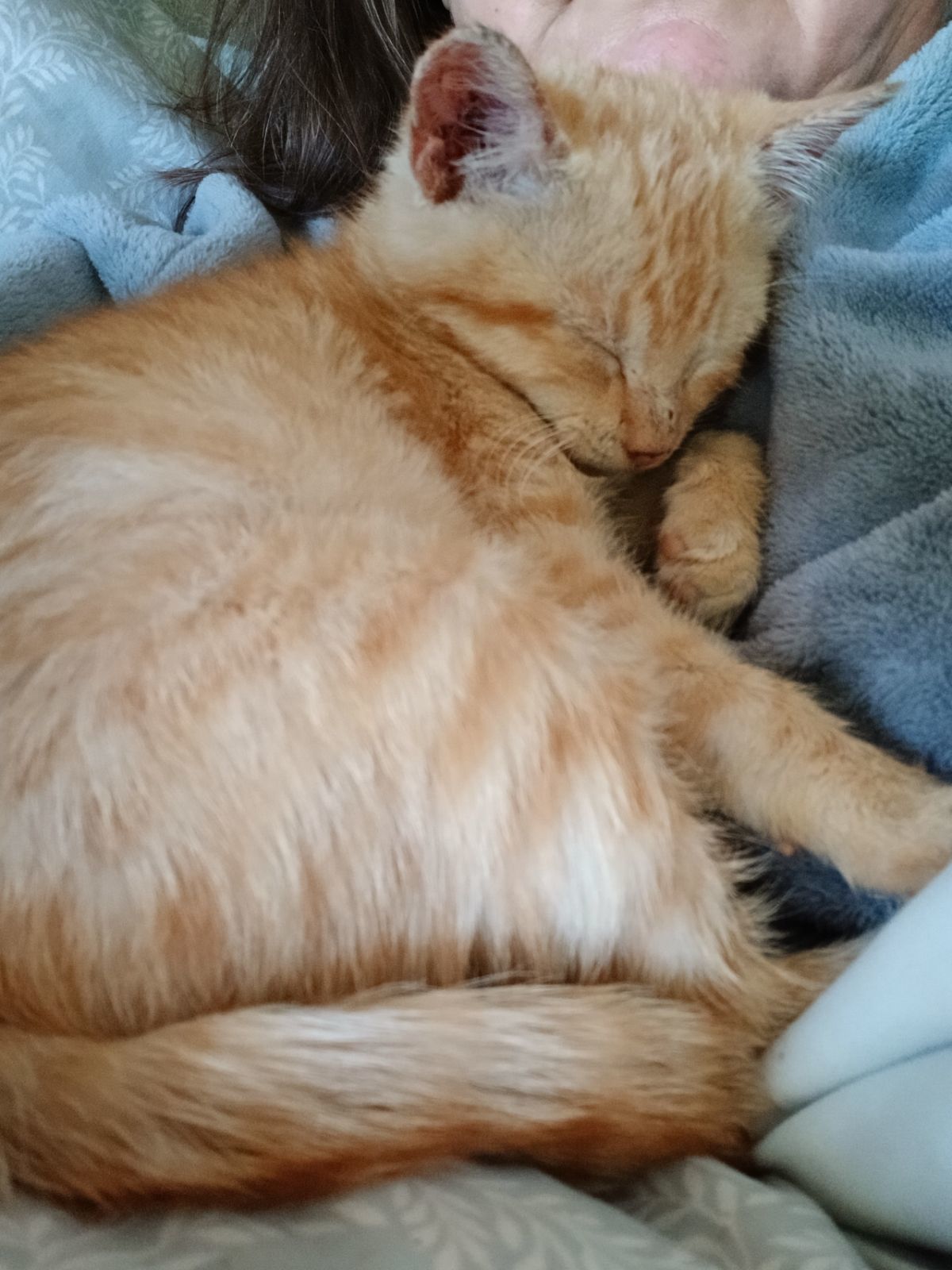 Jack