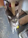 Luke Skywhisker photo 3