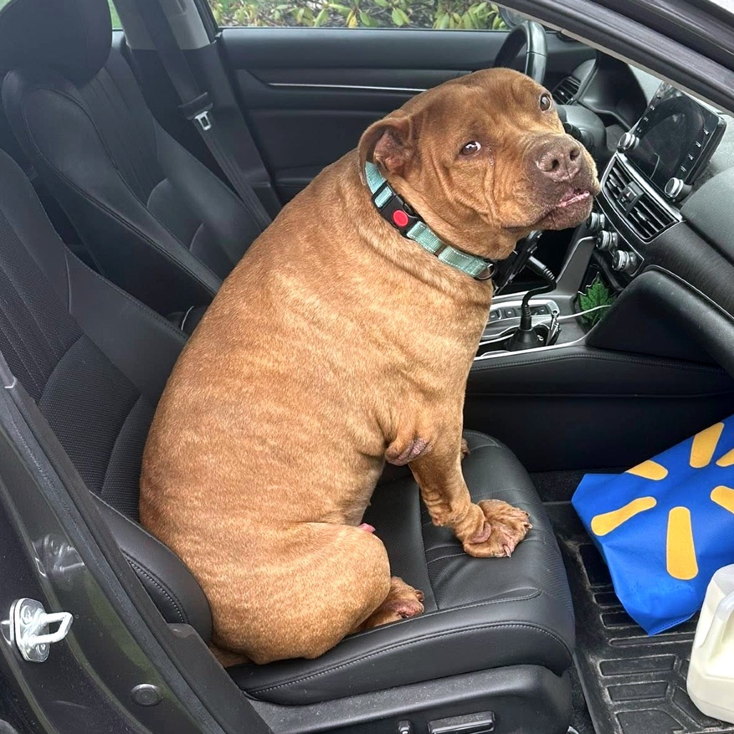 Blue (In Foster)