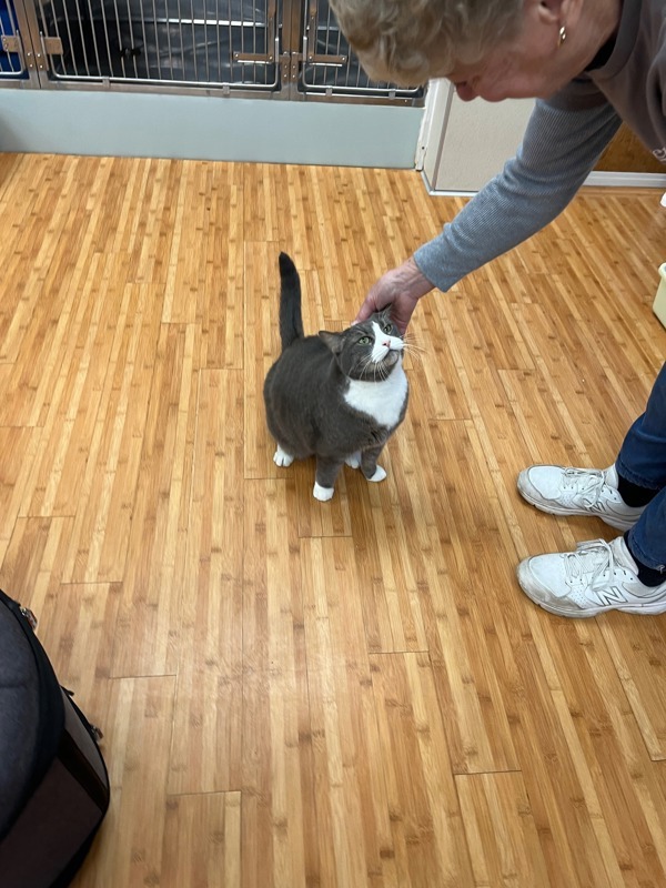 Mittens