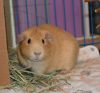 Gunter photo 2