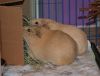 Gunter photo 3
