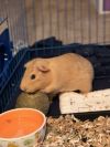 Gunter photo 5