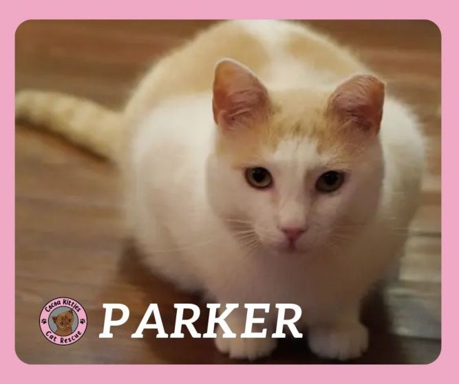 Parker