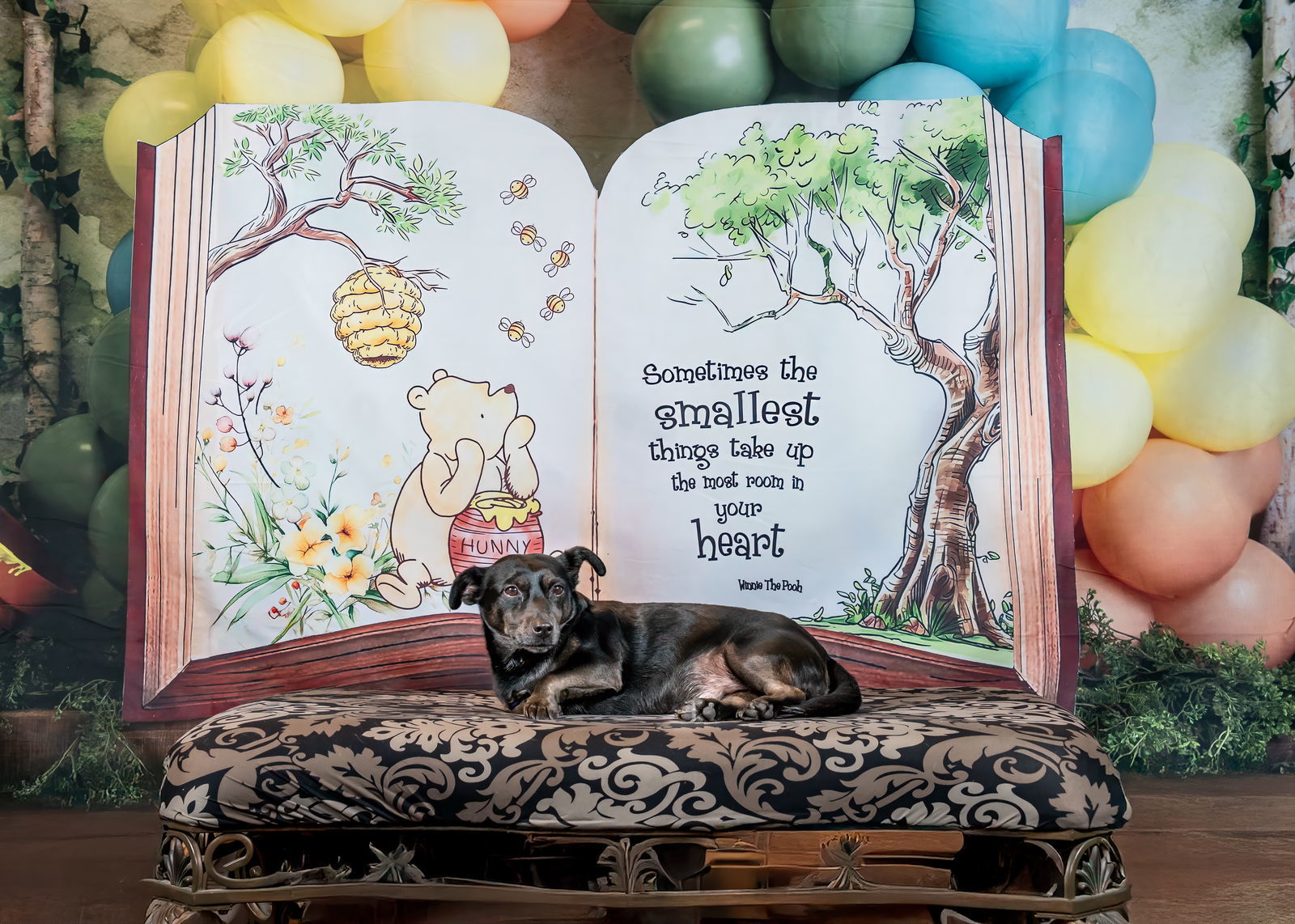 *JACK BE LITTLE (JETT) SQUASH -- DEC 2024