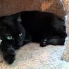 Nox photo 5