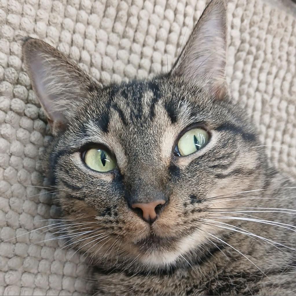 Sophie