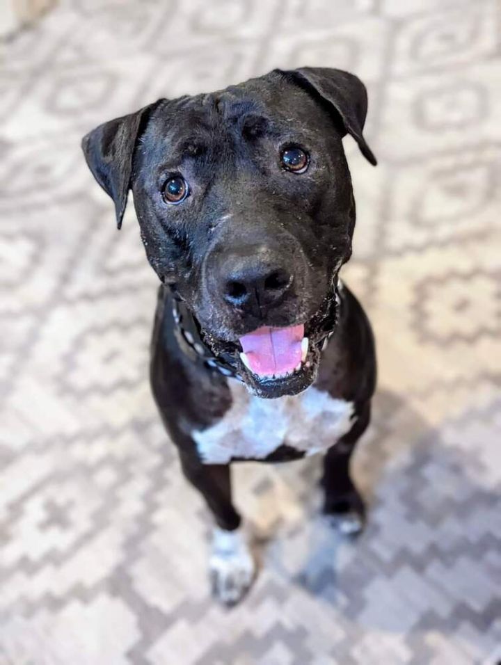 Tino 4