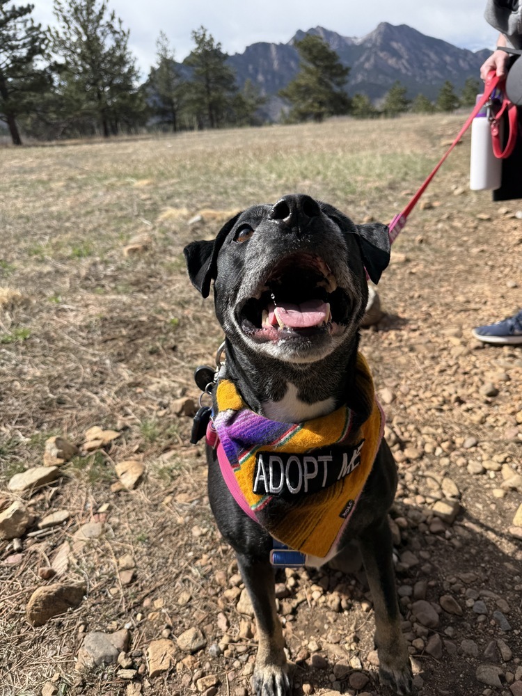 Penelope