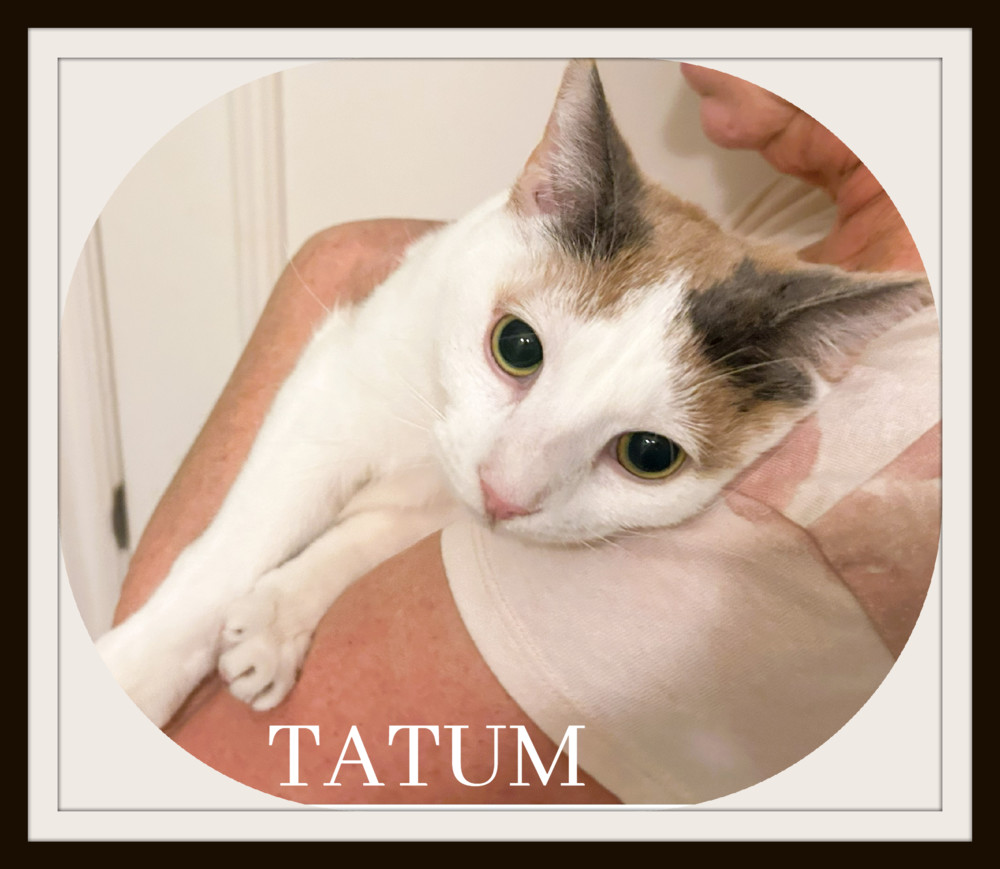 Tatum