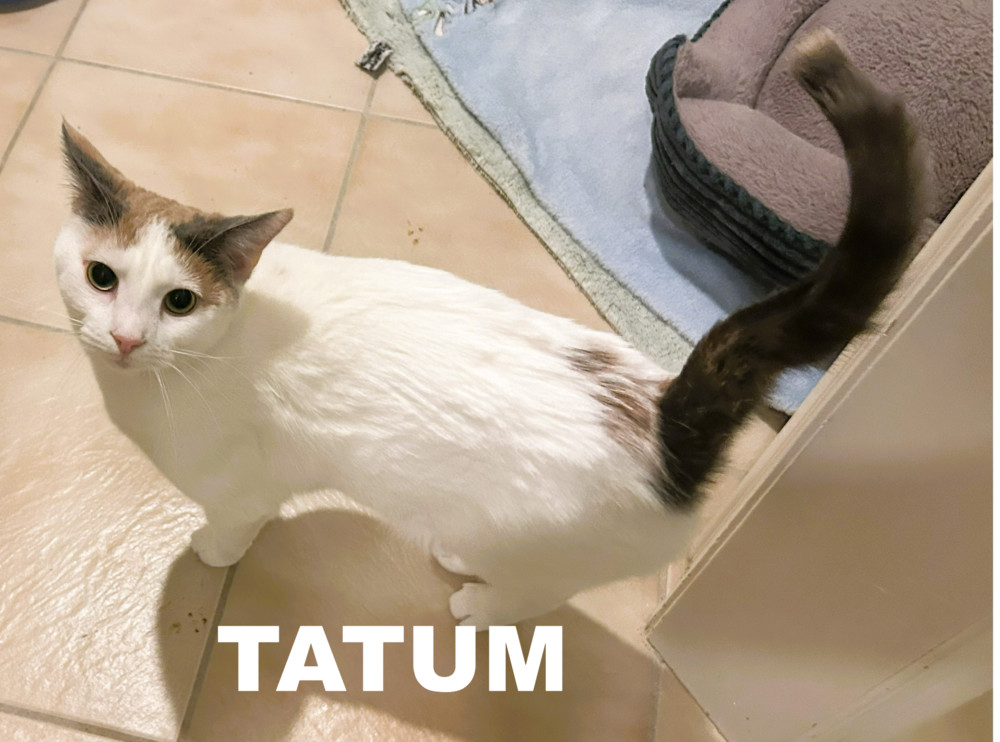 Tatum