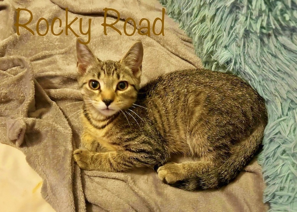 Rocky Road