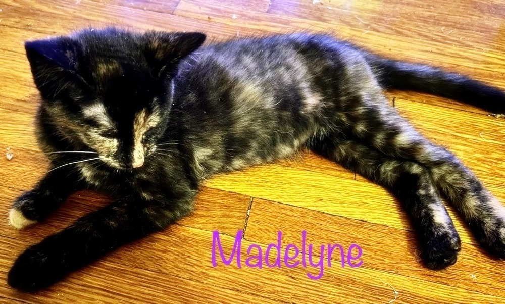 Madelyne