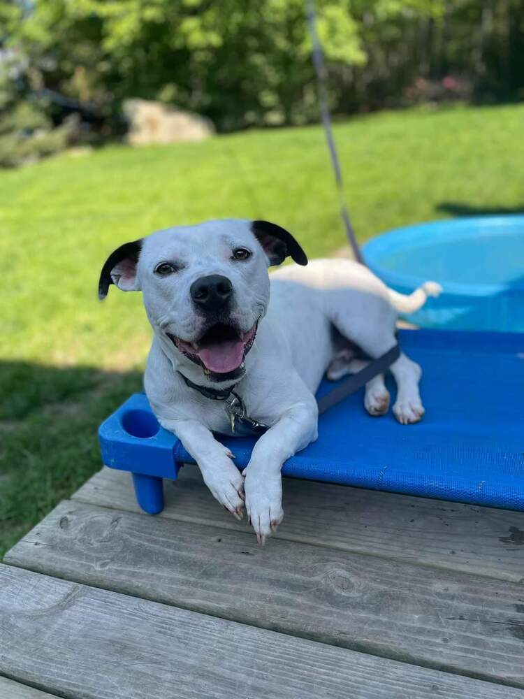 Walter