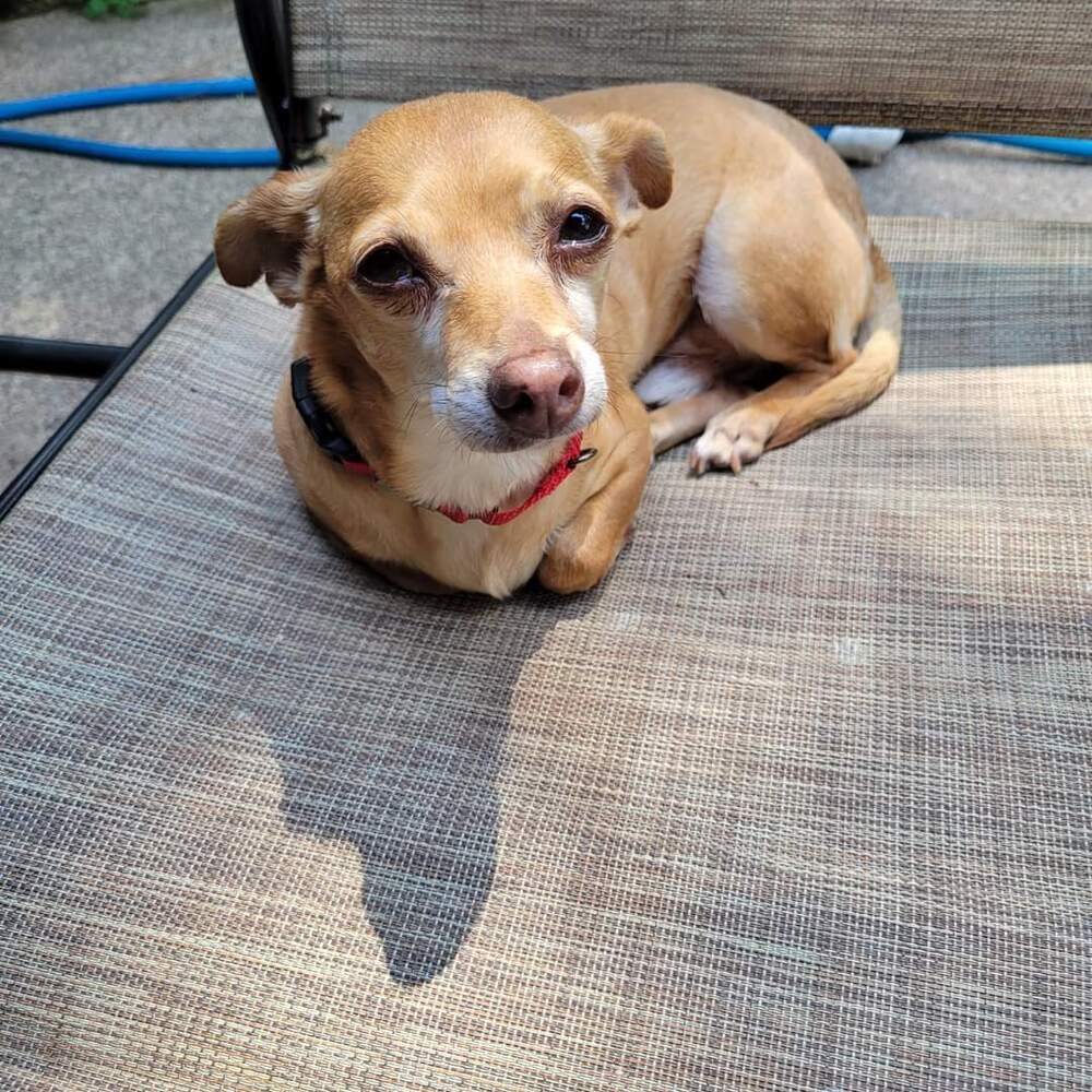 Coco (formerly Kuzco)
