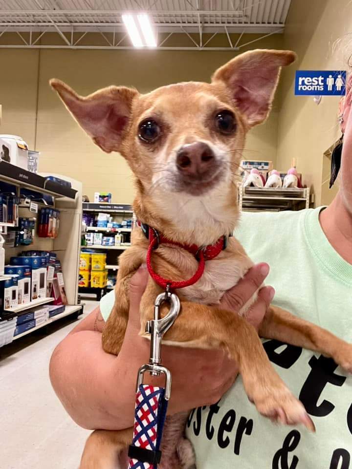Coco (formerly Kuzco)
