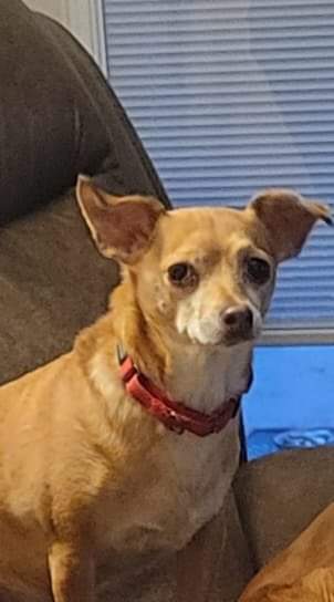 Coco (formerly Kuzco)
