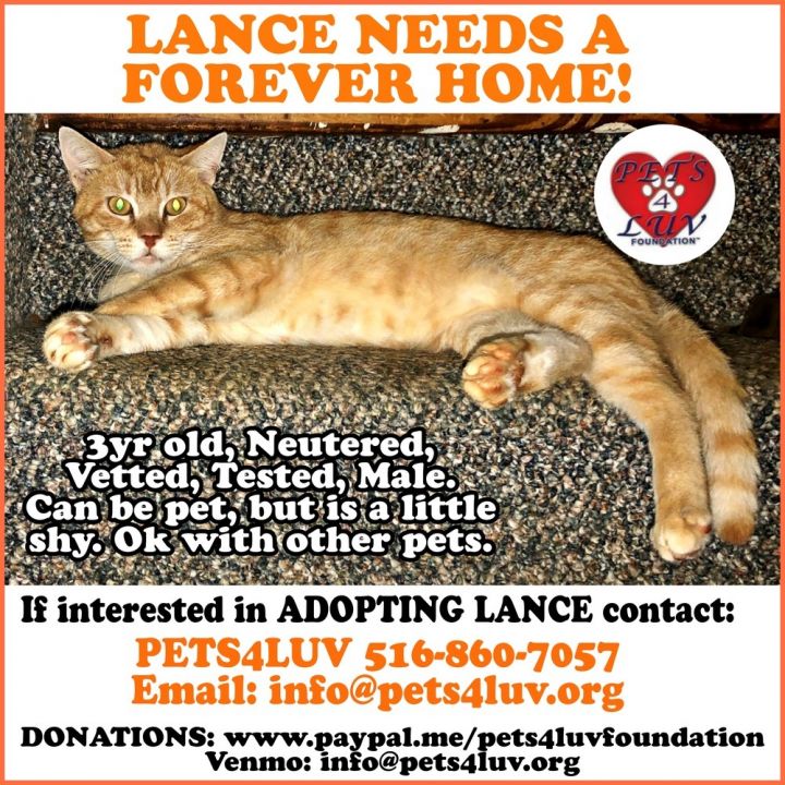 Lance 4