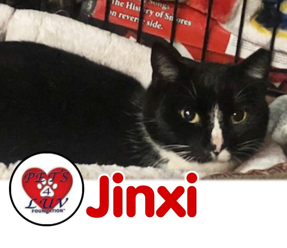 Jinxi