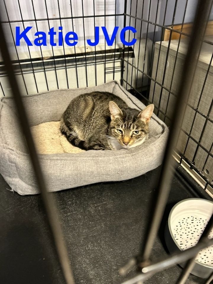 Katie JVC 3