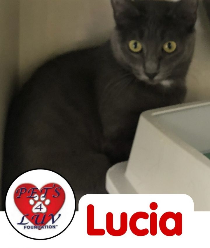 Lucia - Bob 1