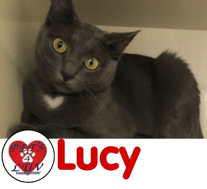 Lucy - Bob 1