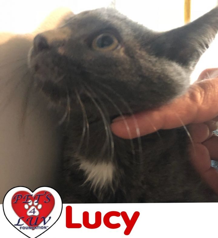 Lucy - Bob 3
