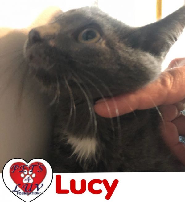 Lucy Laurelton thumbnail 3