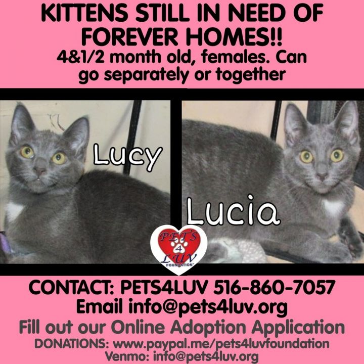 Lucy - Bob 5