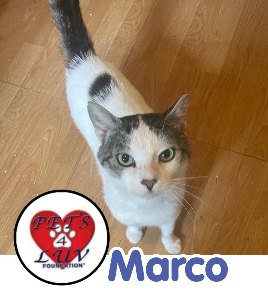 Marco