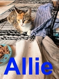 Allie M. Point 1