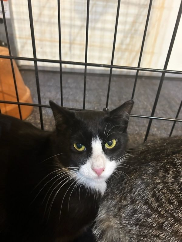 Gemma  Grumman thumbnail 4