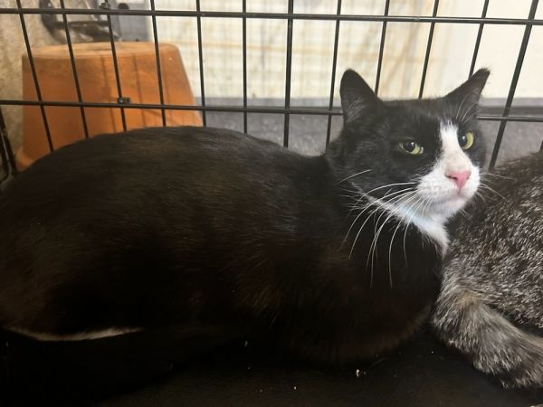 Gemma  Grumman thumbnail 5