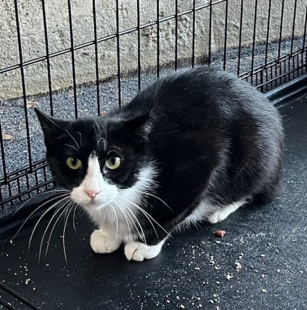 Gemma  Grumman thumbnail 6