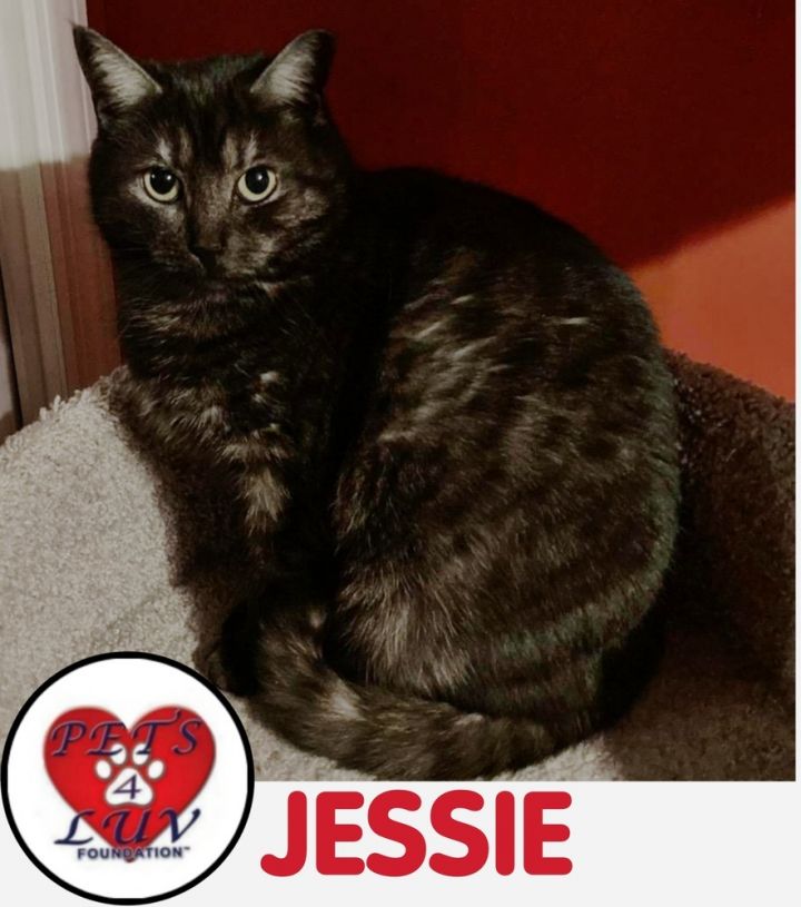 Jessie 1