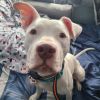 Casper photo 1
