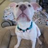 Casper photo 2
